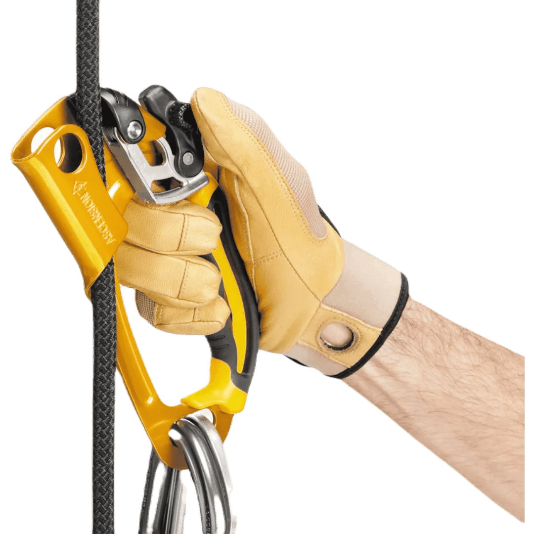 ASCENDER Cut out transparent ASCENDER