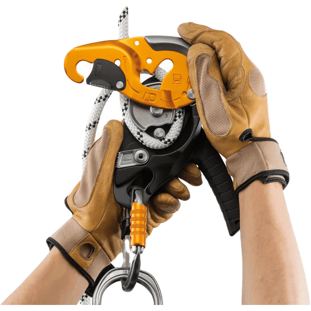 DESCENDER Cut out transparent DESCENDER